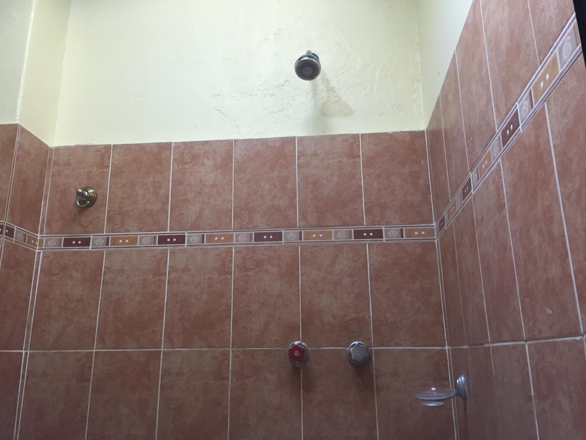 Oaxaca Hotel Lupita المظهر الخارجي الصورة
